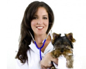 Veterinary Schools Colleges Universities in Canada